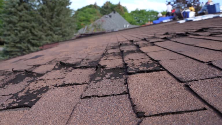 Best 4 Ply Roofing  in Blandon, PA
